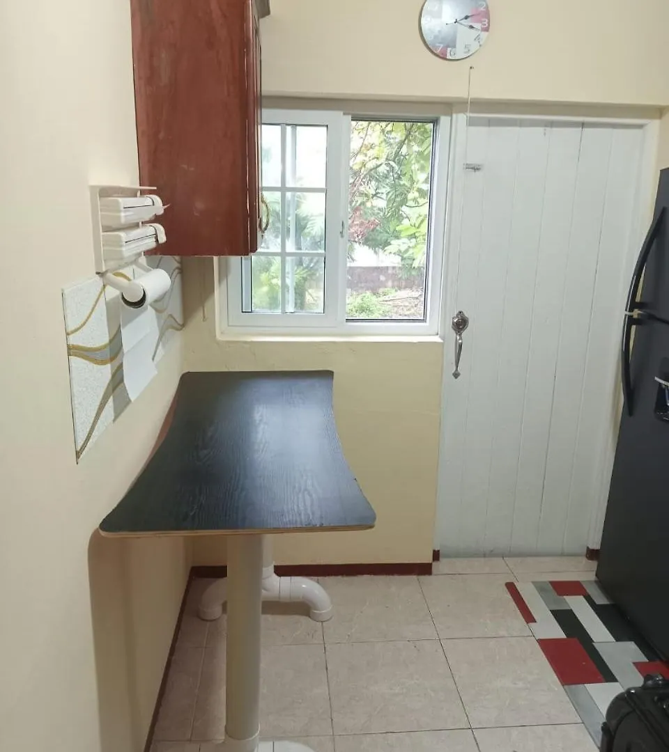 Ubytování v soukromí Villa D'Vene Belleair